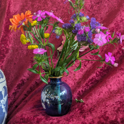 Still life in the studio